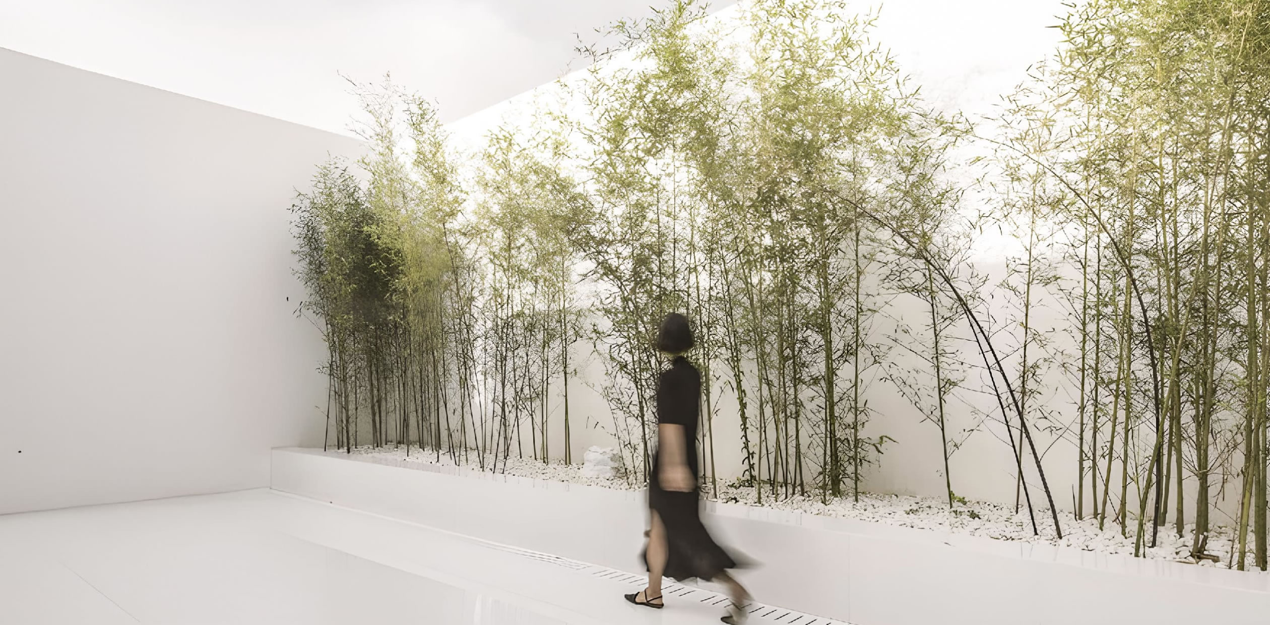 竹林雅集｜回崧VIP养生进阶专享会